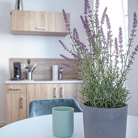 Apartment Kabinett Zell Zewnętrze zdjęcie